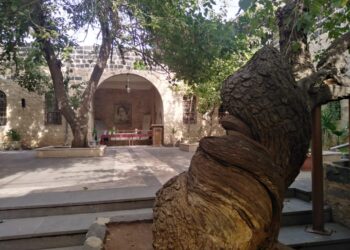 “متحف عرار الثقافي: تاريخ محفوظ وروعة معمارية في قلب التاريخ”