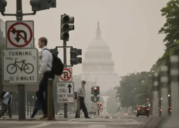 دخان حرائق الغابات