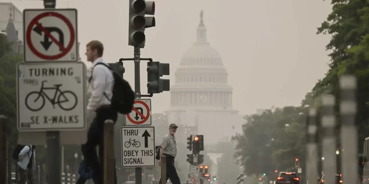 دخان حرائق الغابات