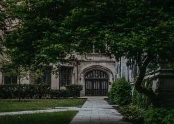 حرية التعبير والتنمر الإلكتروني  في الجامعات