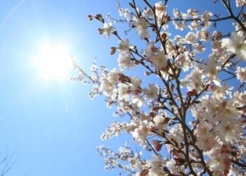 طقس حار اليوم وتراجع تأثير الموجة الحارة غدًا