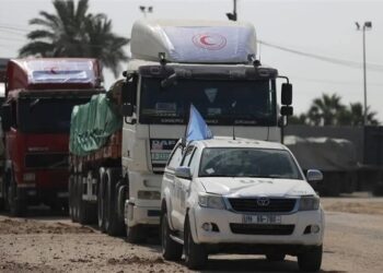 الأغذية العالمي: التفتيش الصارم يعرقل تدفق المساعدات إلى غزة