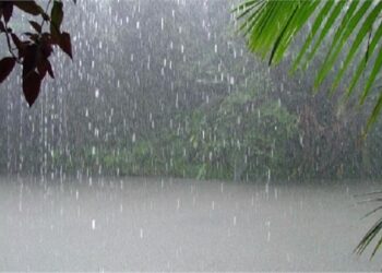 الأرصاد: أمطار الاسبوع ترفع الموسم المطري إلى 48%