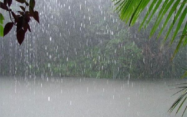 الأرصاد: أمطار الاسبوع ترفع الموسم المطري إلى 48%