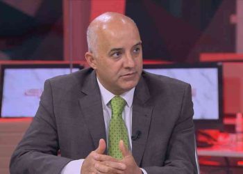 المبيضين: الأردن نجح في إيجاد مسار جديد لإدخال المساعدات إلى غزة