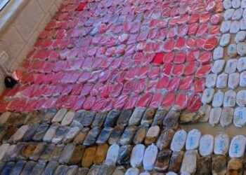 الجيش العربي: إحباط تهريب مخدرات قادمة من سوريا